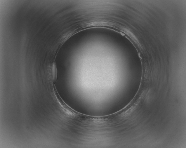 X0000073950849200608281213