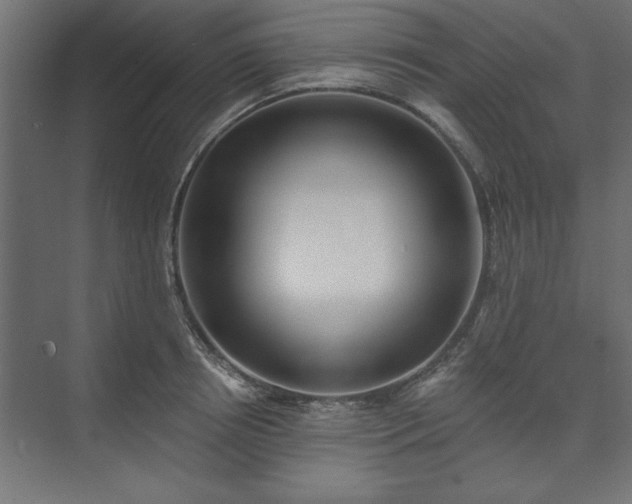 X0000073950850200608281213