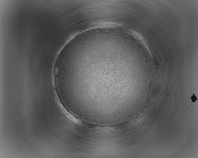 X0000073950851200608281213