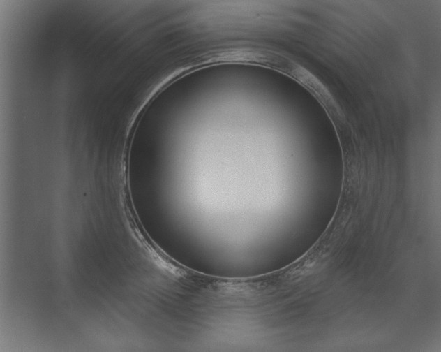 X0000073950852200608281213