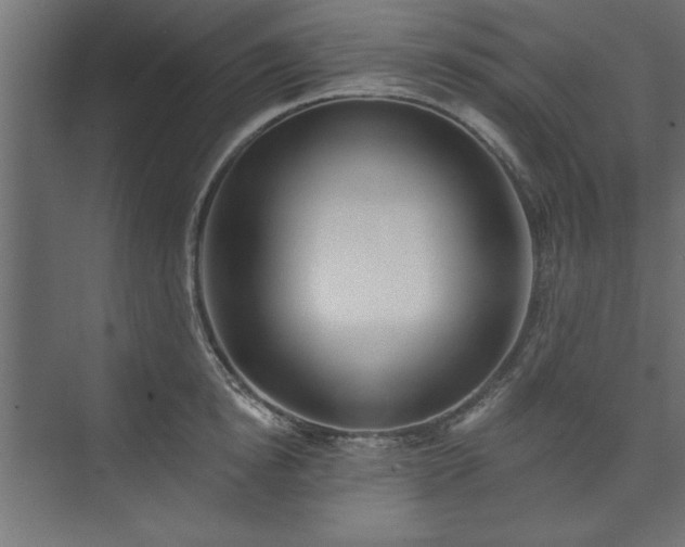 X0000073950854200608281213