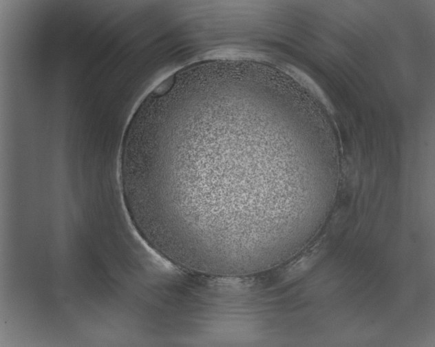 X0000073950855200608281213