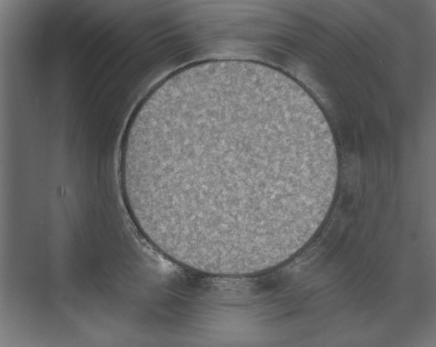 X0000073950856200608281213