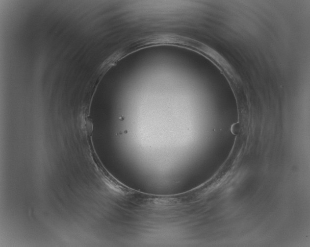 X0000073950857200608281213