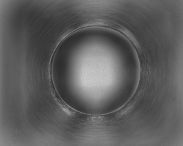 X0000073950858200608281213