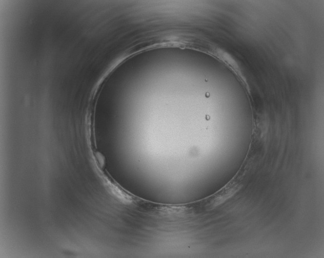 X0000073950859200608281213