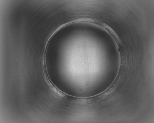 X0000073950860200608281213