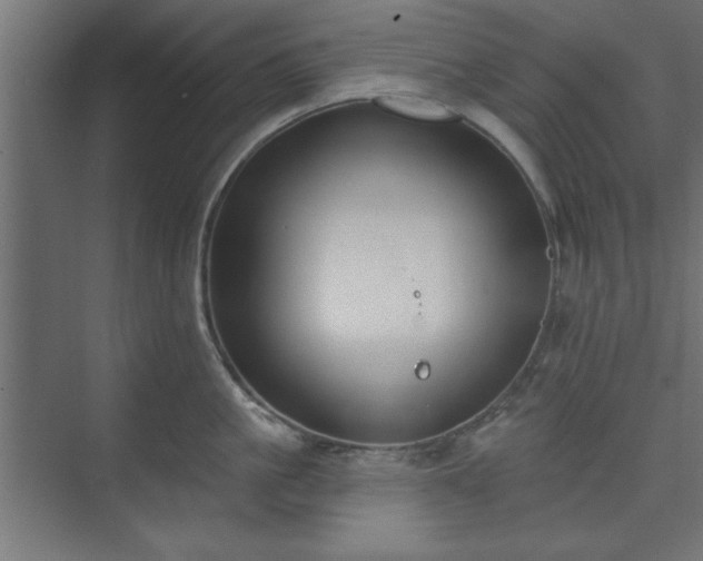 X0000073950861200608281213