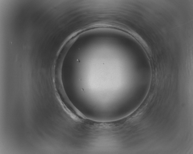 X0000073950862200608281213