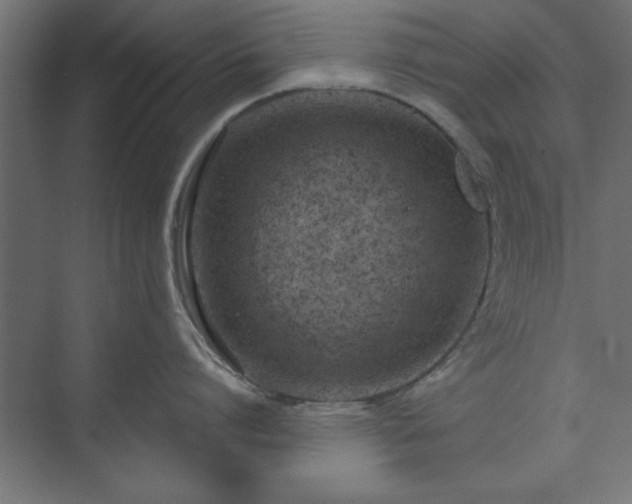 X0000073950864200608281213