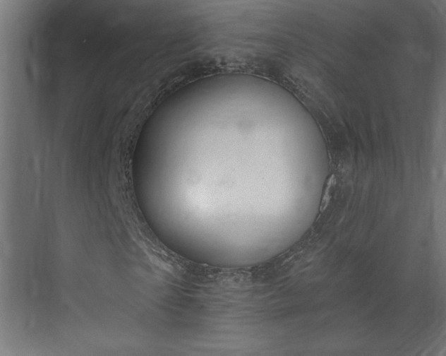 X0000073950865200608281212