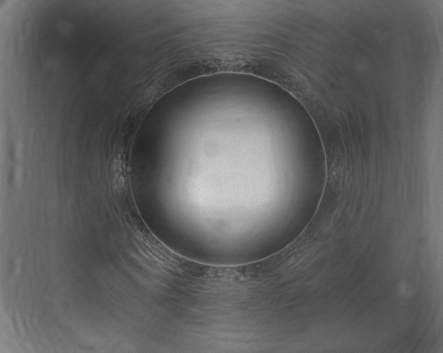 X0000073950866200608281212