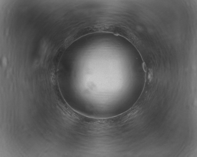 X0000073950867200608281212