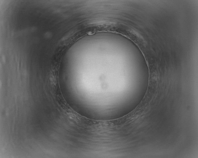 X0000073950869200608281212