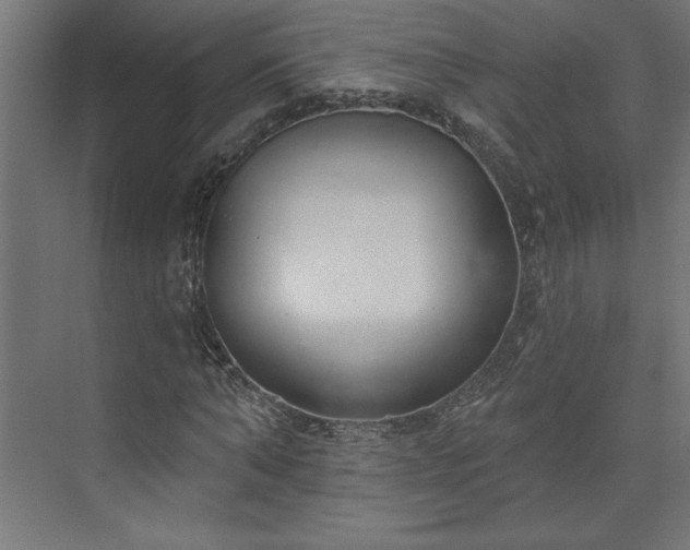 X0000073950870200608281212