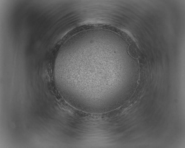 X0000073950871200608281212