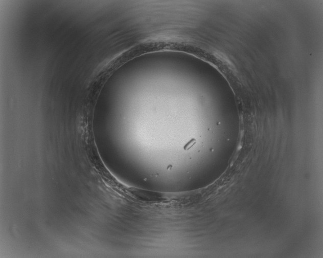 X0000073950872200608281212