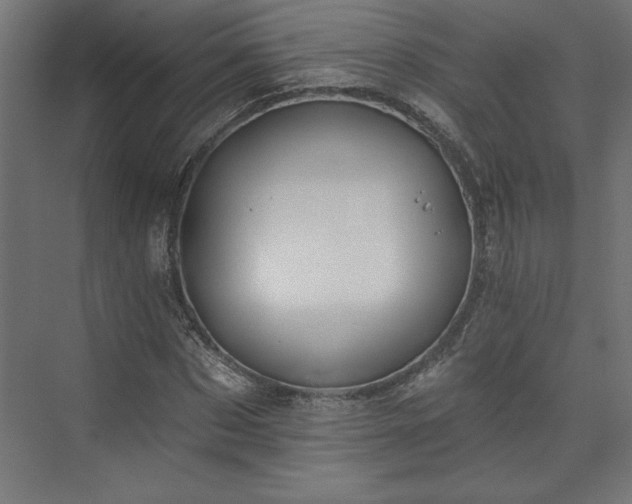 X0000073950873200608281212