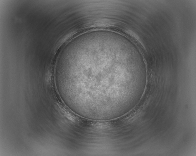 X0000073950874200608281212