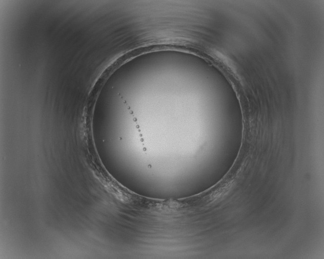 X0000073950875200608281212