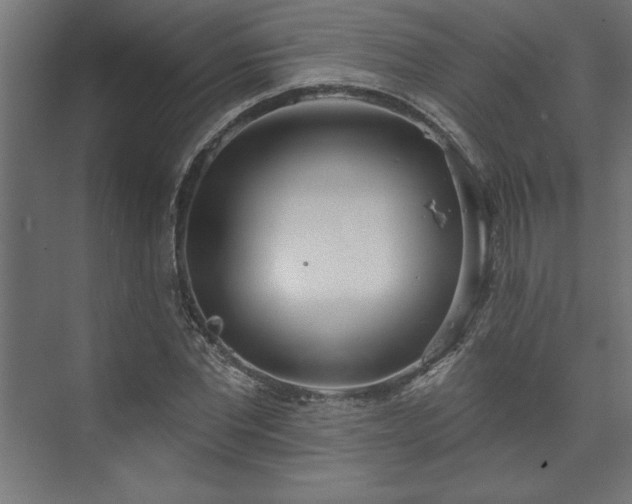 X0000073950877200608281212