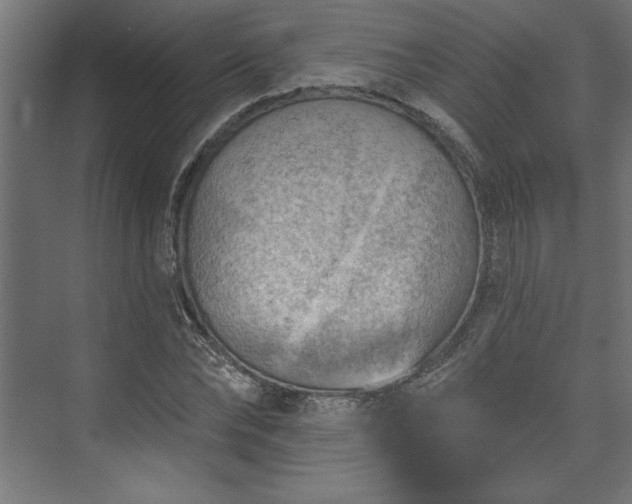 X0000073950878200608281212