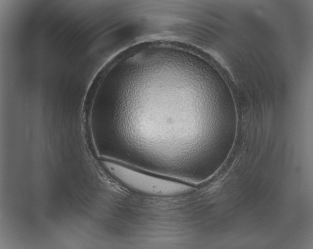 X0000073950879200608281212