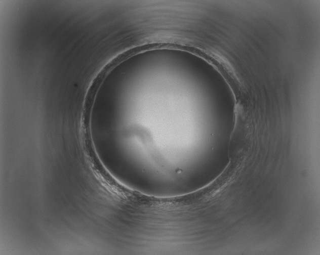 X0000073950880200608281212