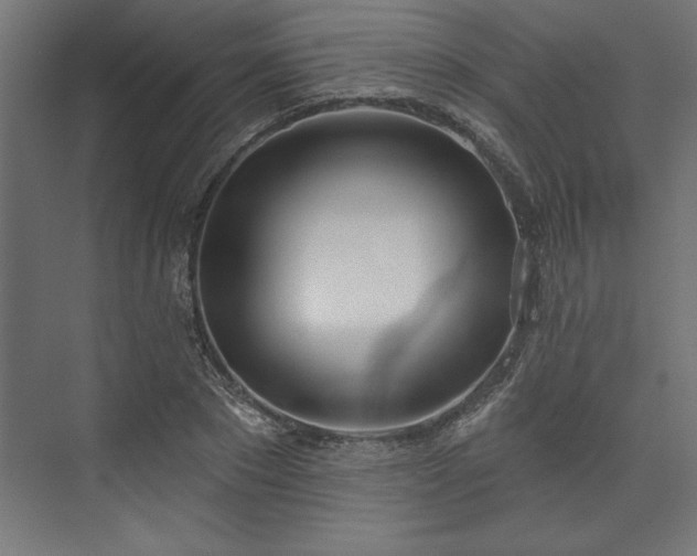 X0000073950881200608281212