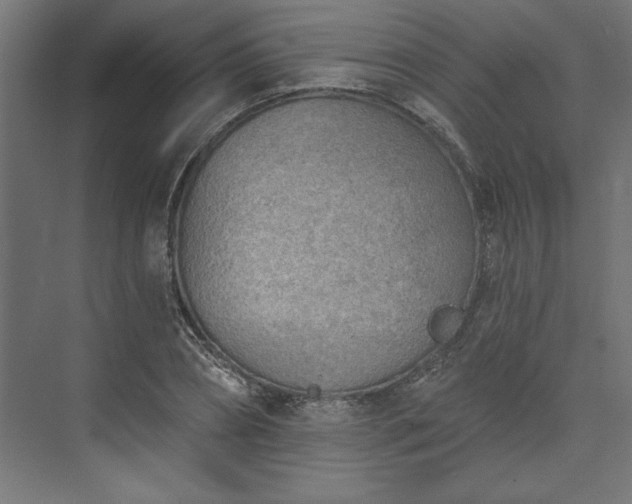 X0000073950882200608281212