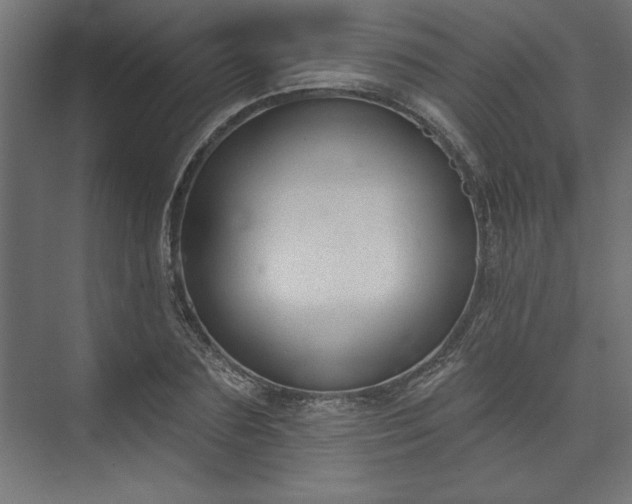 X0000073950883200608281212