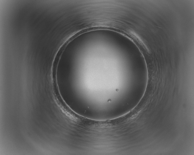 X0000073950884200608281212