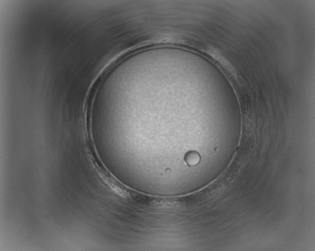 X0000073950886200608281212