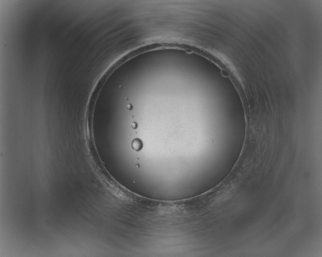 X0000073950887200608281212