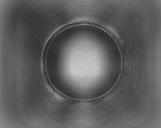 X0000073950888200608281212