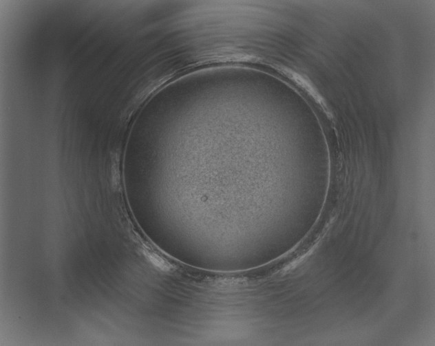 X0000073950889200608281212