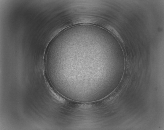 X0000073950890200608281212