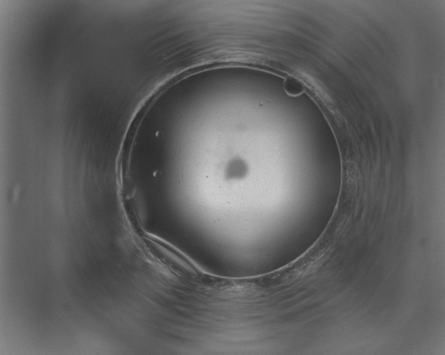 X0000073950891200608281212