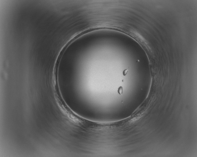 X0000073950892200608281212