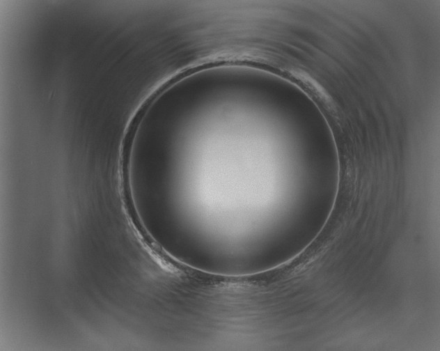 X0000073950894200608281212