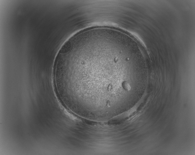 X0000073950895200608281212