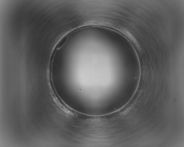 X0000073950896200608281212