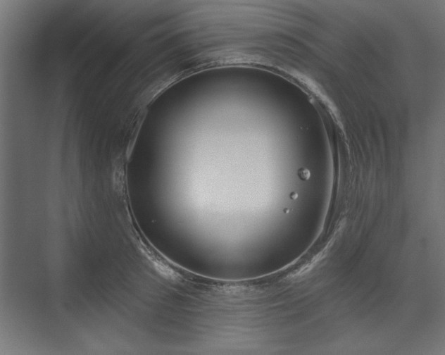 X0000073950897200608281212