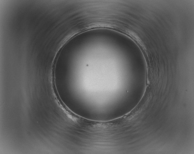 X0000073950898200608281212