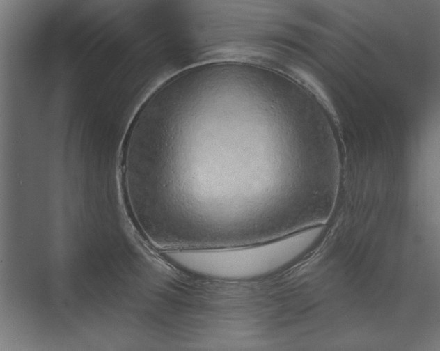 X0000073950899200608281212