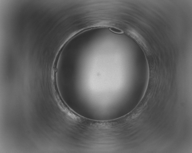 X0000073950900200608281212