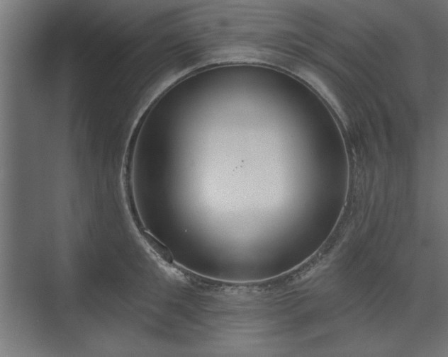 X0000073950901200608281212