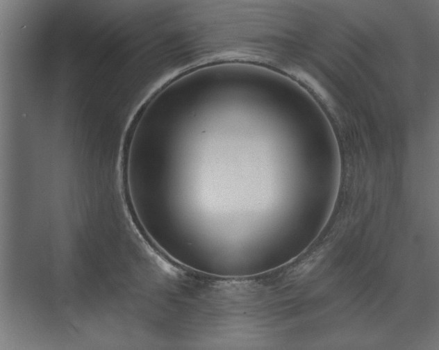 X0000073950902200608281212