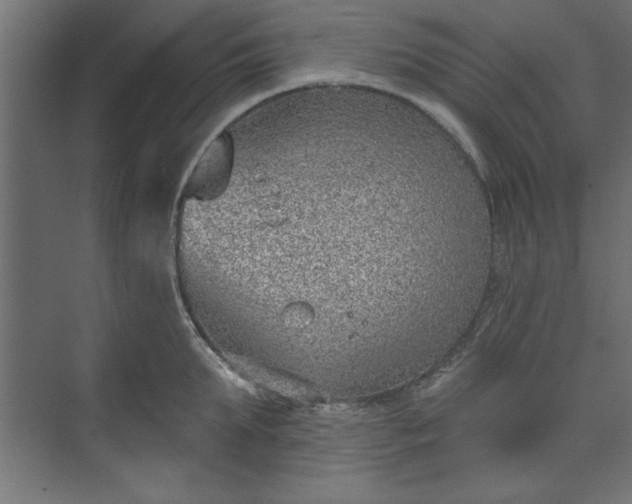 X0000073950903200608281212