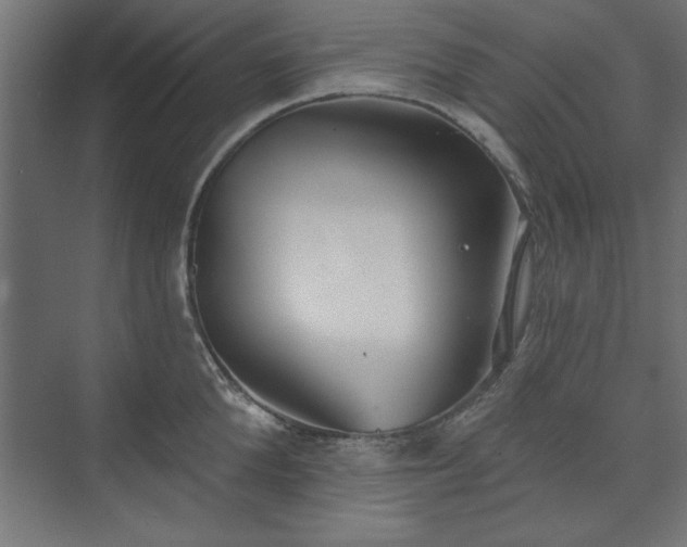 X0000073950904200608281212